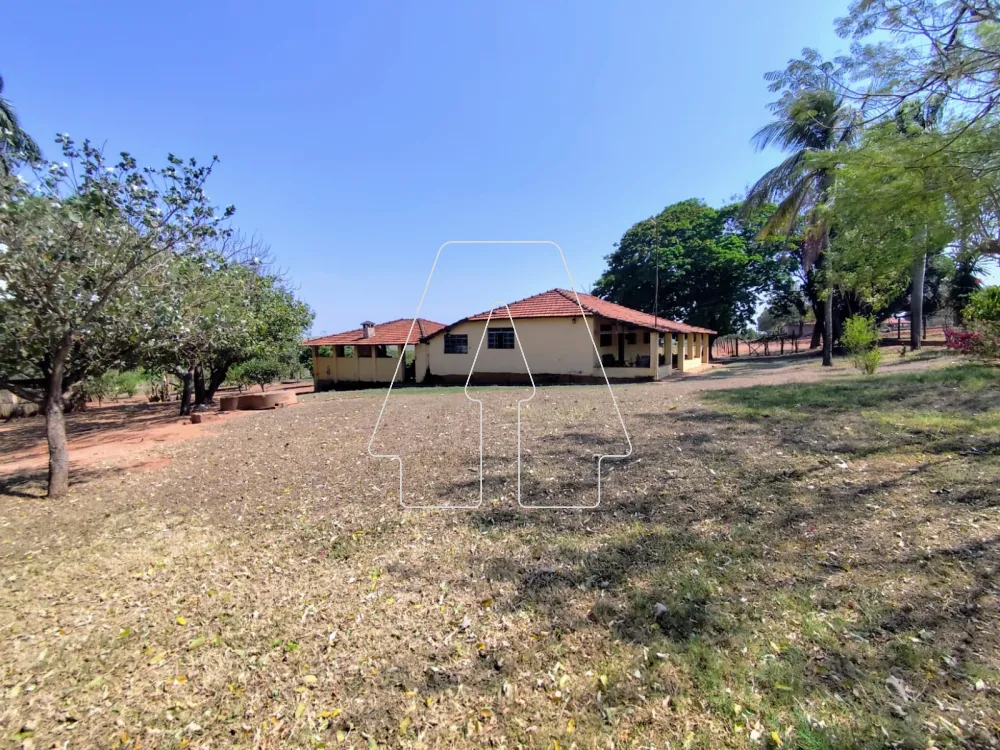 Comprar Rural / S&iacute;tio em Guararapes R$ 1.850.000,00 - Foto 5