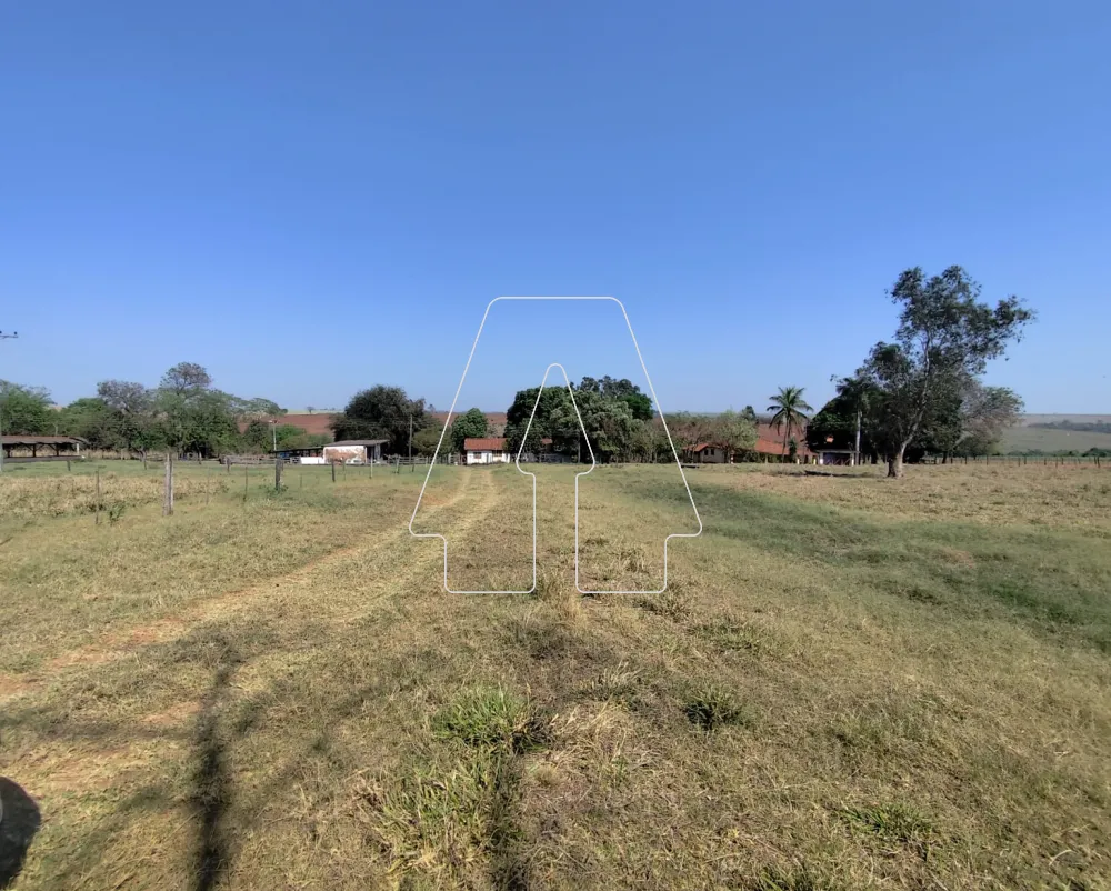 Comprar Rural / S&iacute;tio em Guararapes R$ 1.850.000,00 - Foto 6