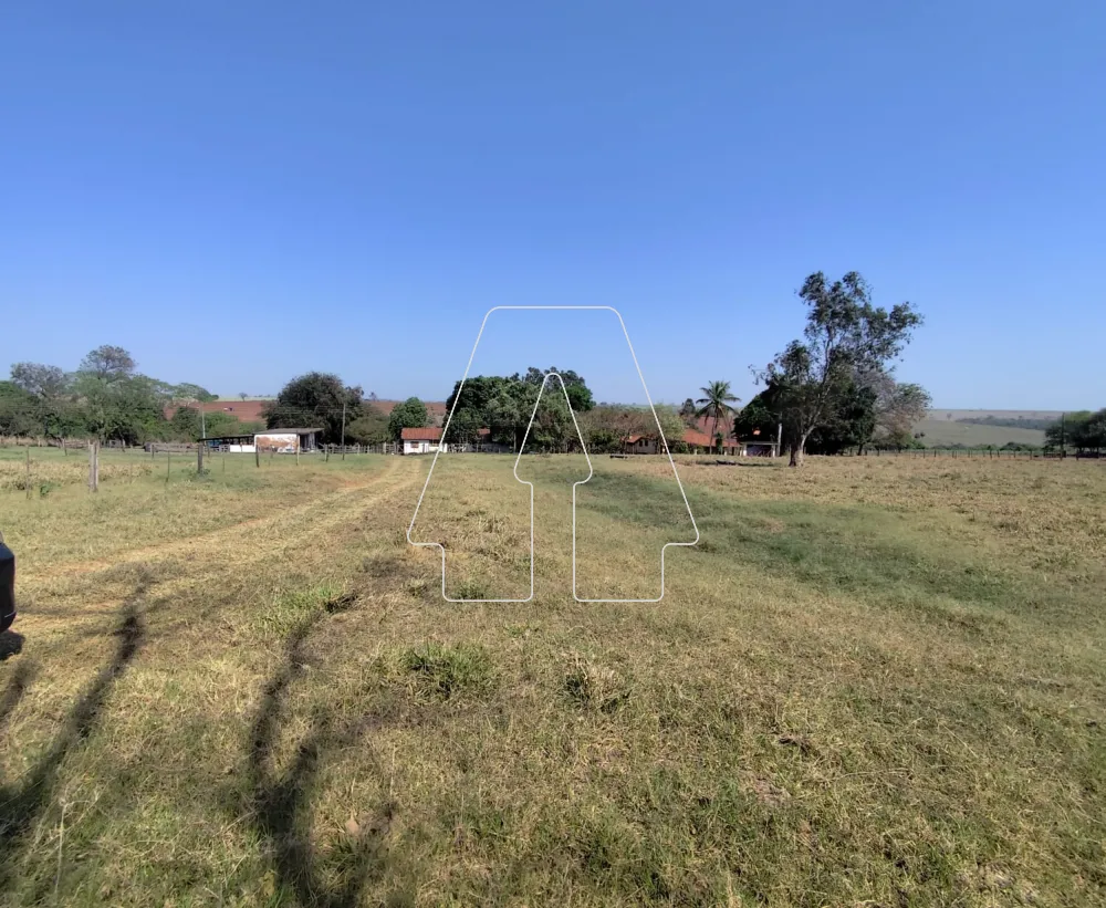 Comprar Rural / S&iacute;tio em Guararapes R$ 1.850.000,00 - Foto 11