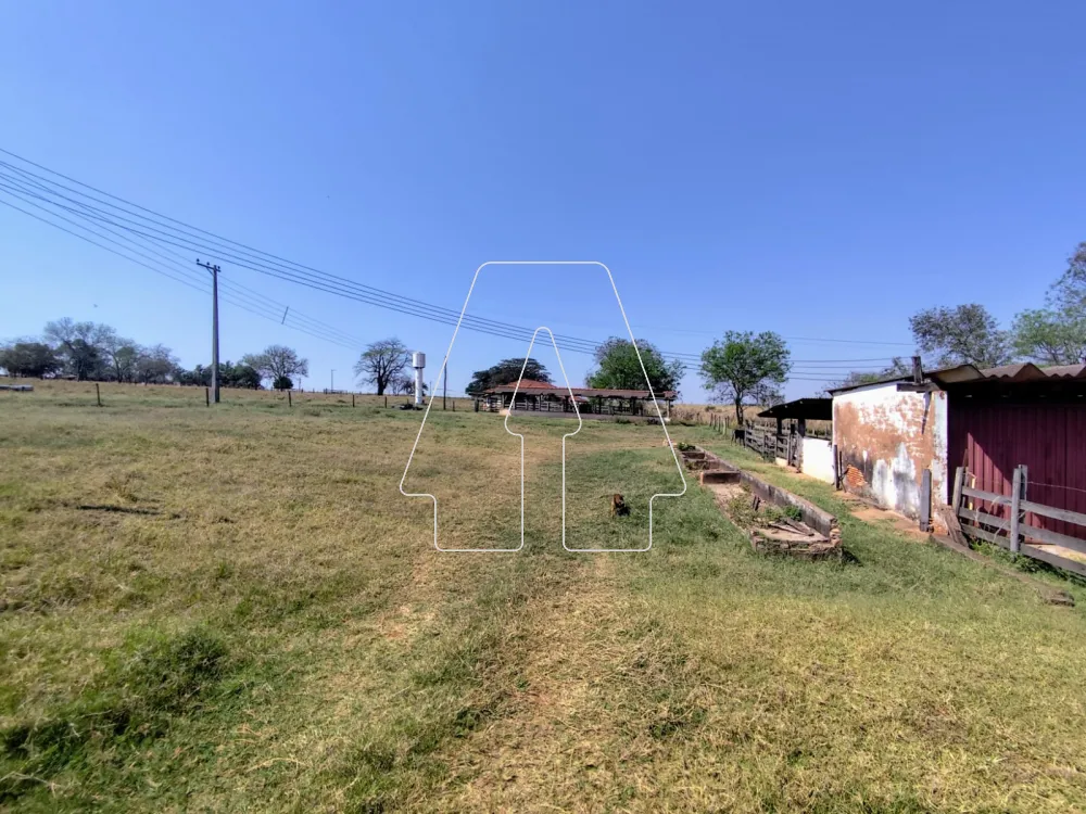 Comprar Rural / S&iacute;tio em Guararapes R$ 1.850.000,00 - Foto 12