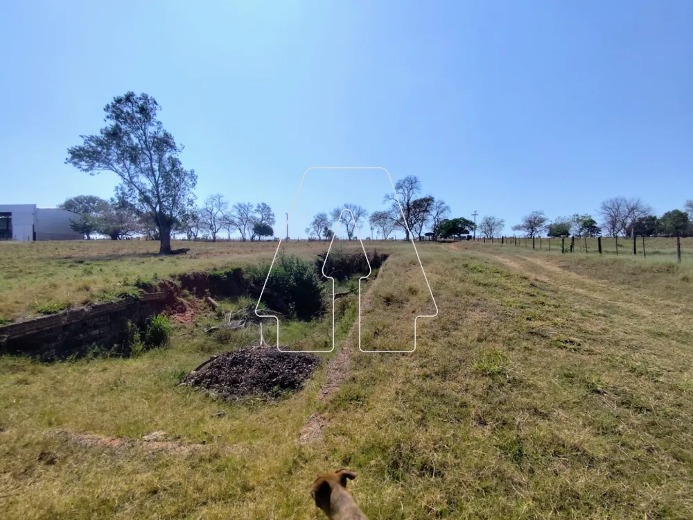 Comprar Rural / S&iacute;tio em Guararapes R$ 1.850.000,00 - Foto 13