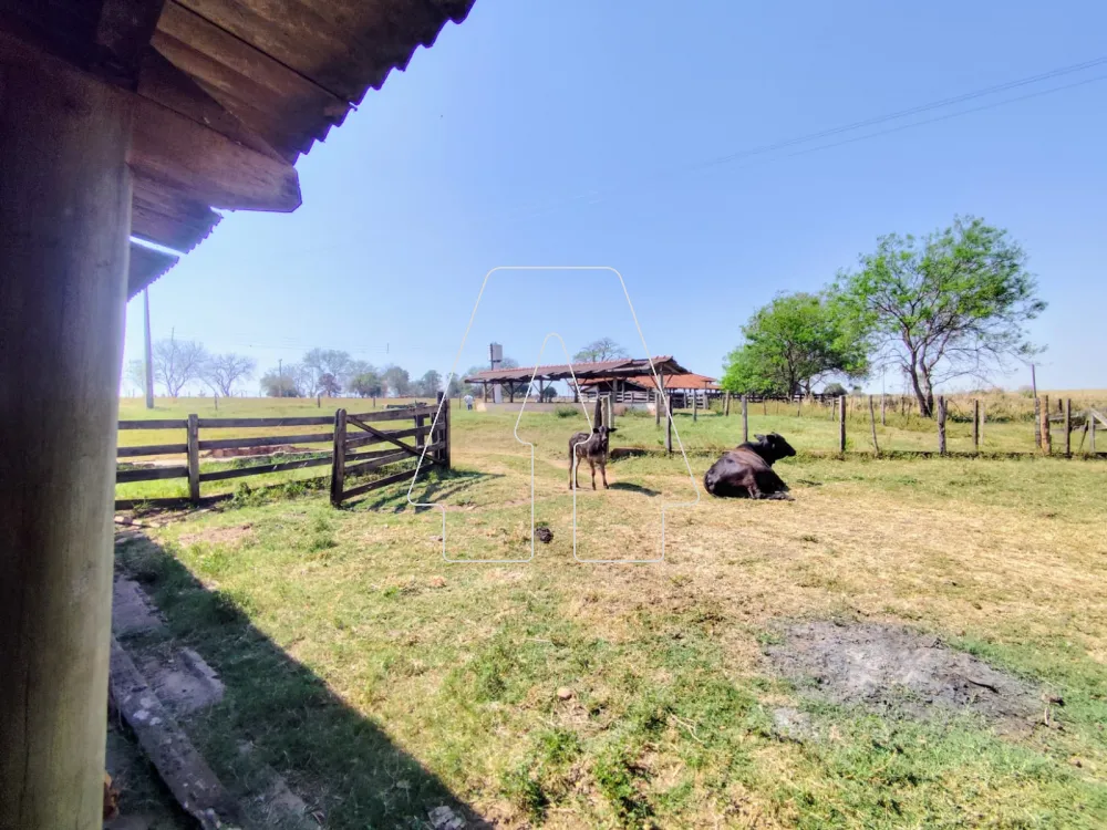 Comprar Rural / S&iacute;tio em Guararapes R$ 1.850.000,00 - Foto 14