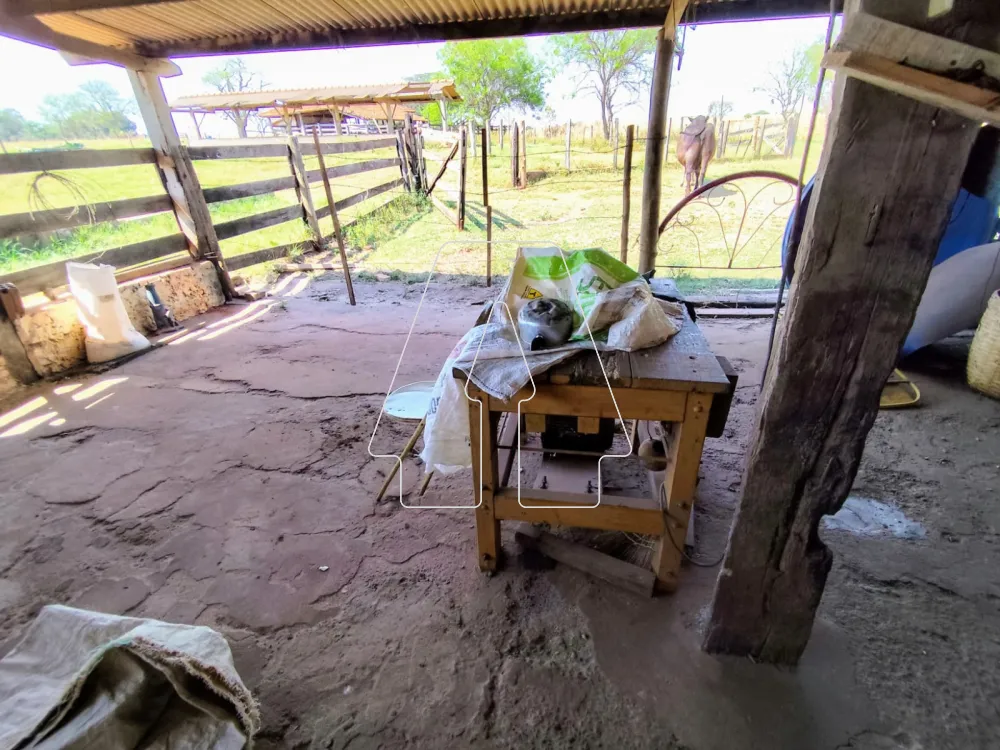 Comprar Rural / S&iacute;tio em Guararapes R$ 1.850.000,00 - Foto 16
