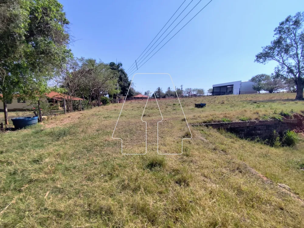 Comprar Rural / S&iacute;tio em Guararapes R$ 1.850.000,00 - Foto 17