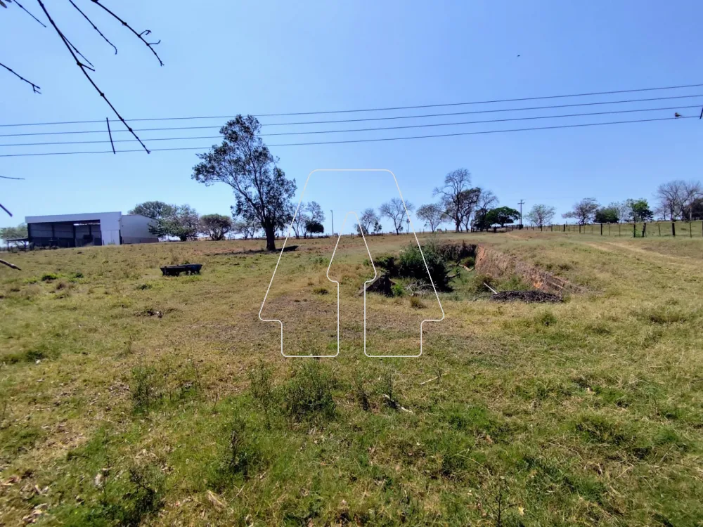 Comprar Rural / S&iacute;tio em Guararapes R$ 1.850.000,00 - Foto 18