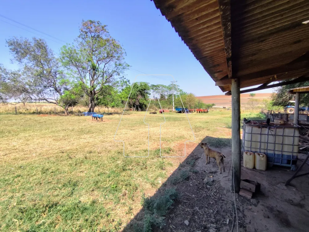 Comprar Rural / S&iacute;tio em Guararapes R$ 1.850.000,00 - Foto 19
