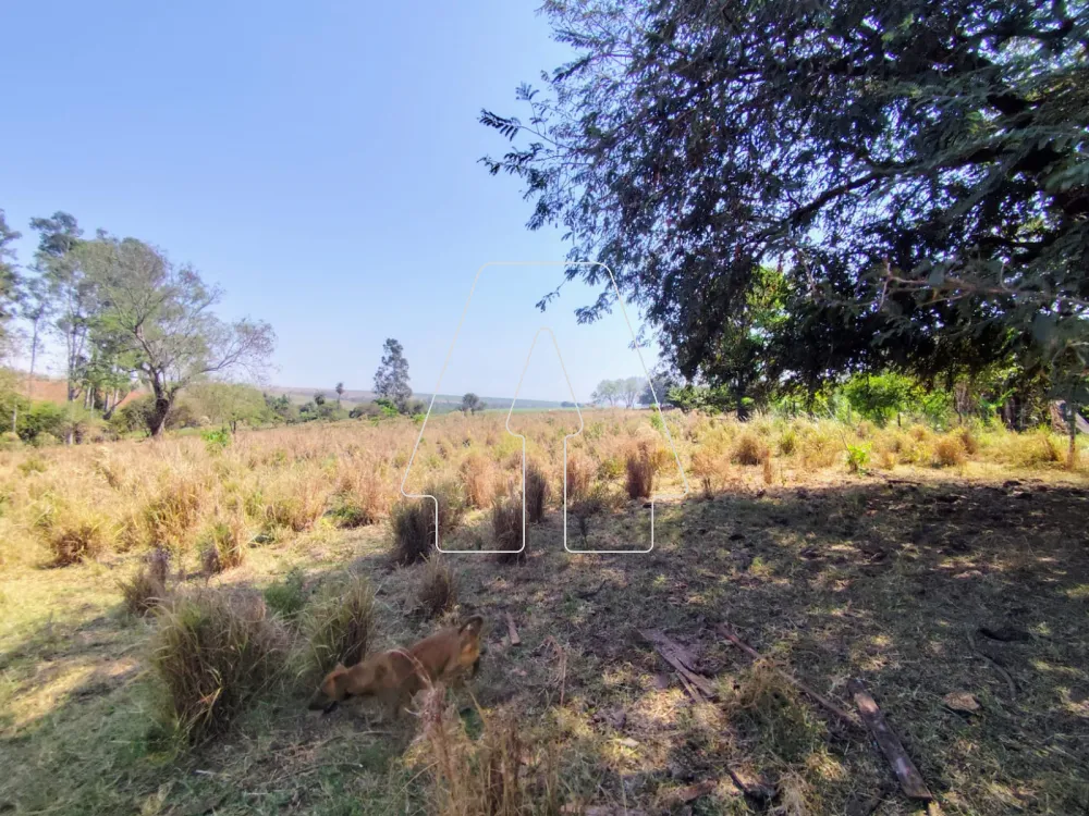 Comprar Rural / S&iacute;tio em Guararapes R$ 1.850.000,00 - Foto 20