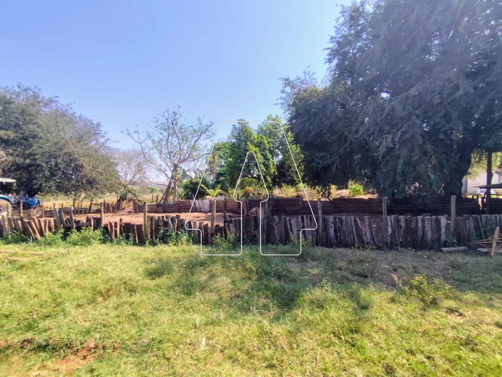 Comprar Rural / S&iacute;tio em Guararapes R$ 1.850.000,00 - Foto 21