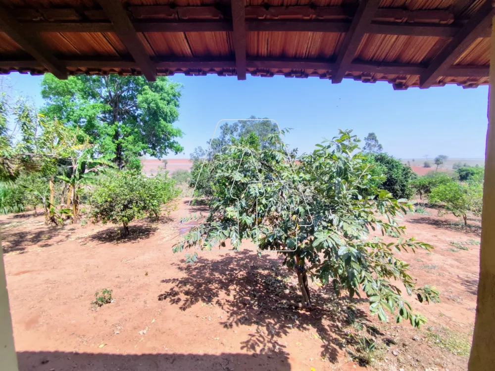 Comprar Rural / S&iacute;tio em Guararapes R$ 1.850.000,00 - Foto 22