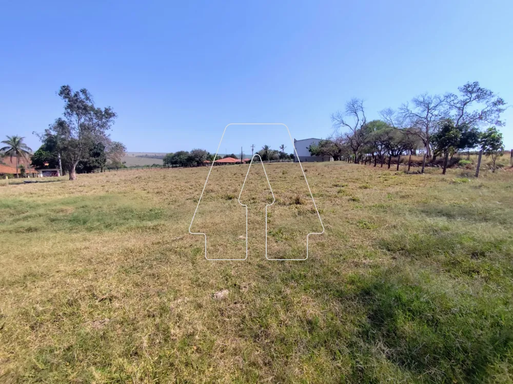 Comprar Rural / S&iacute;tio em Guararapes R$ 1.850.000,00 - Foto 23