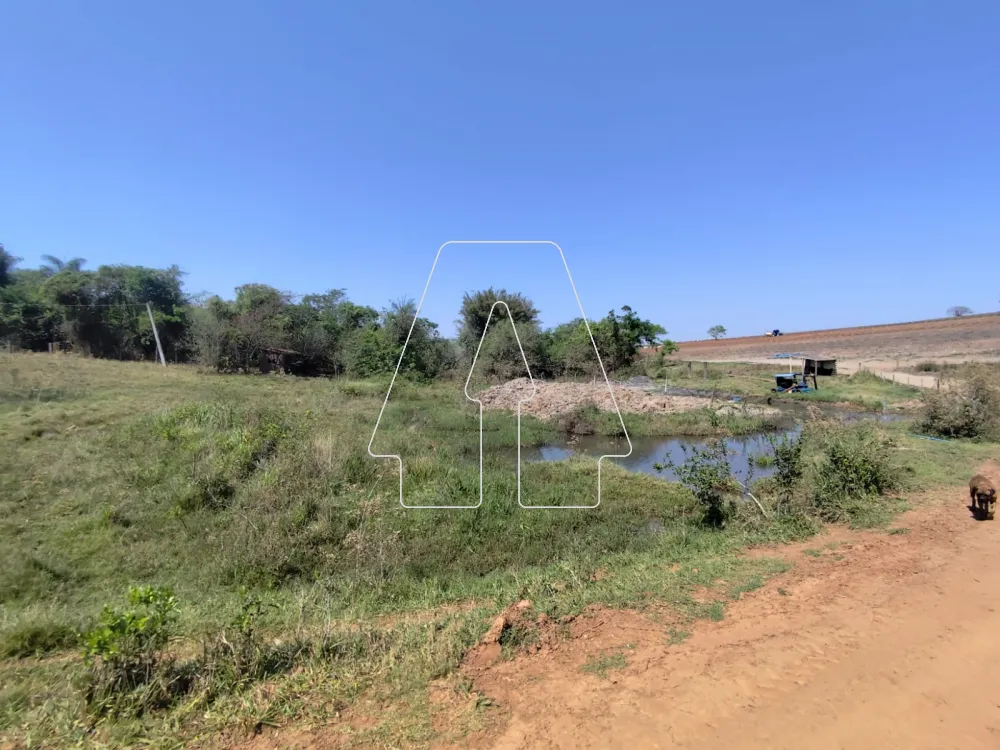 Comprar Rural / S&iacute;tio em Guararapes R$ 1.850.000,00 - Foto 24