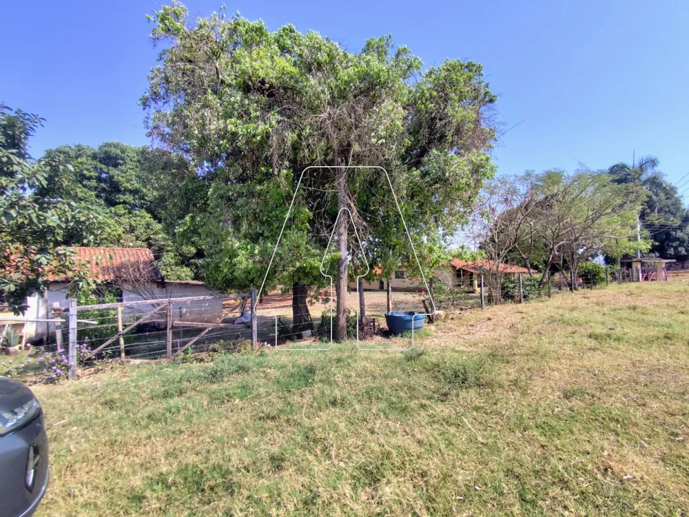 Comprar Rural / S&iacute;tio em Guararapes R$ 1.850.000,00 - Foto 25