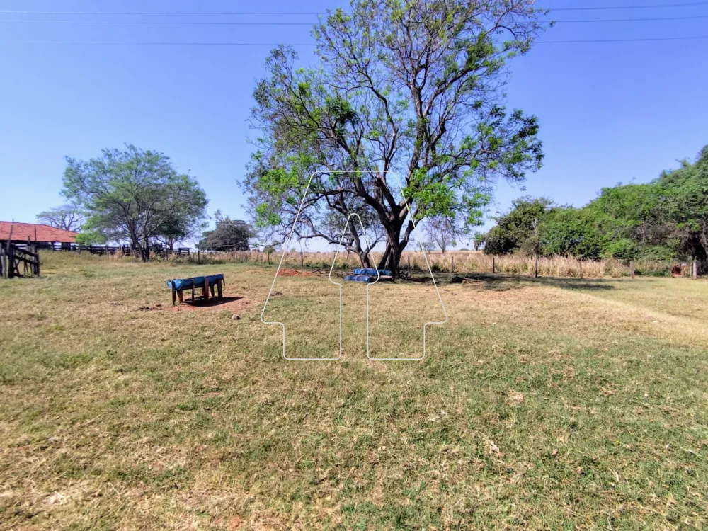 Comprar Rural / S&iacute;tio em Guararapes R$ 1.850.000,00 - Foto 26