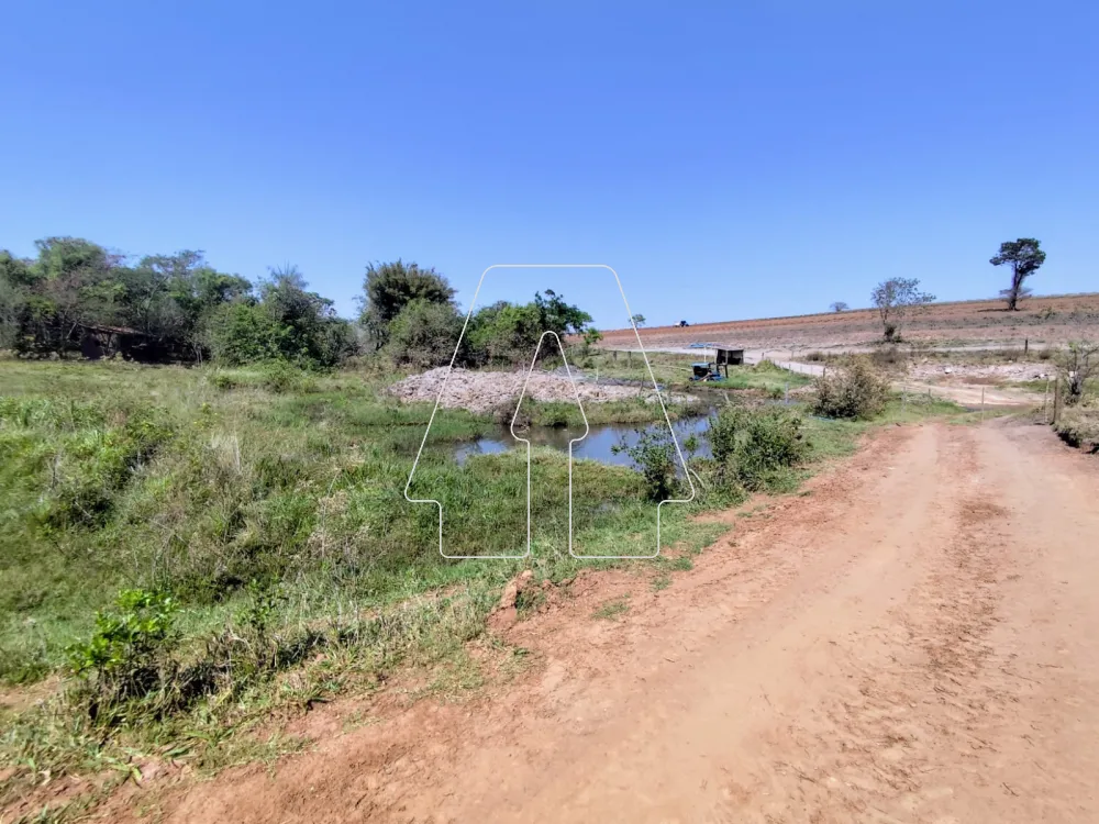 Comprar Rural / S&iacute;tio em Guararapes R$ 1.850.000,00 - Foto 27