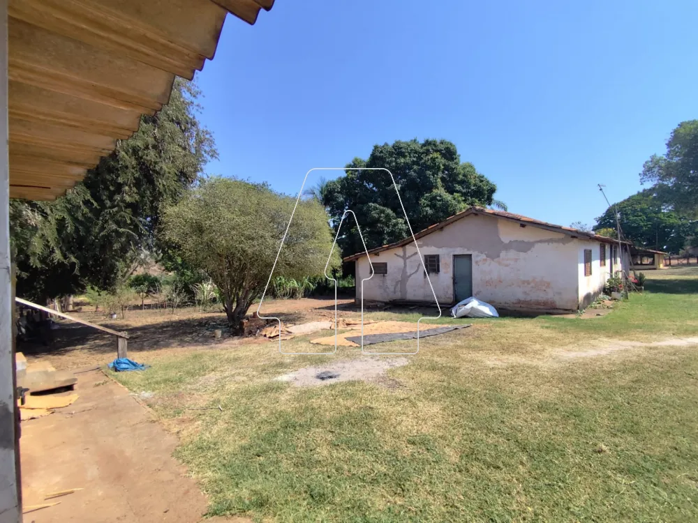 Comprar Rural / S&iacute;tio em Guararapes R$ 1.850.000,00 - Foto 28