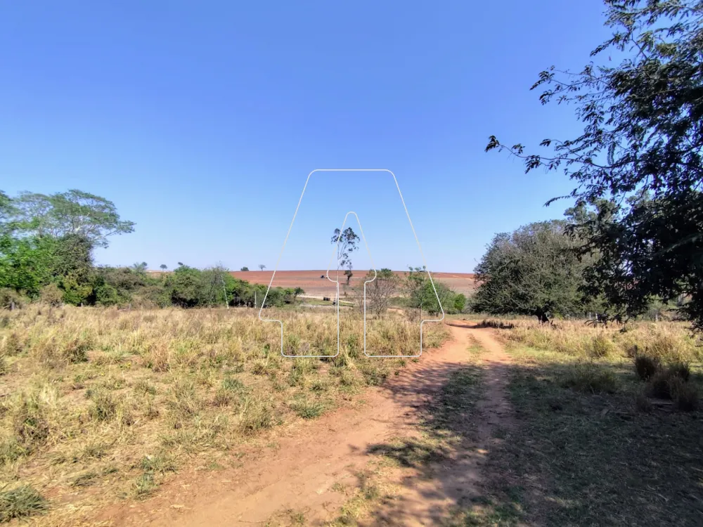 Comprar Rural / S&iacute;tio em Guararapes R$ 1.850.000,00 - Foto 29