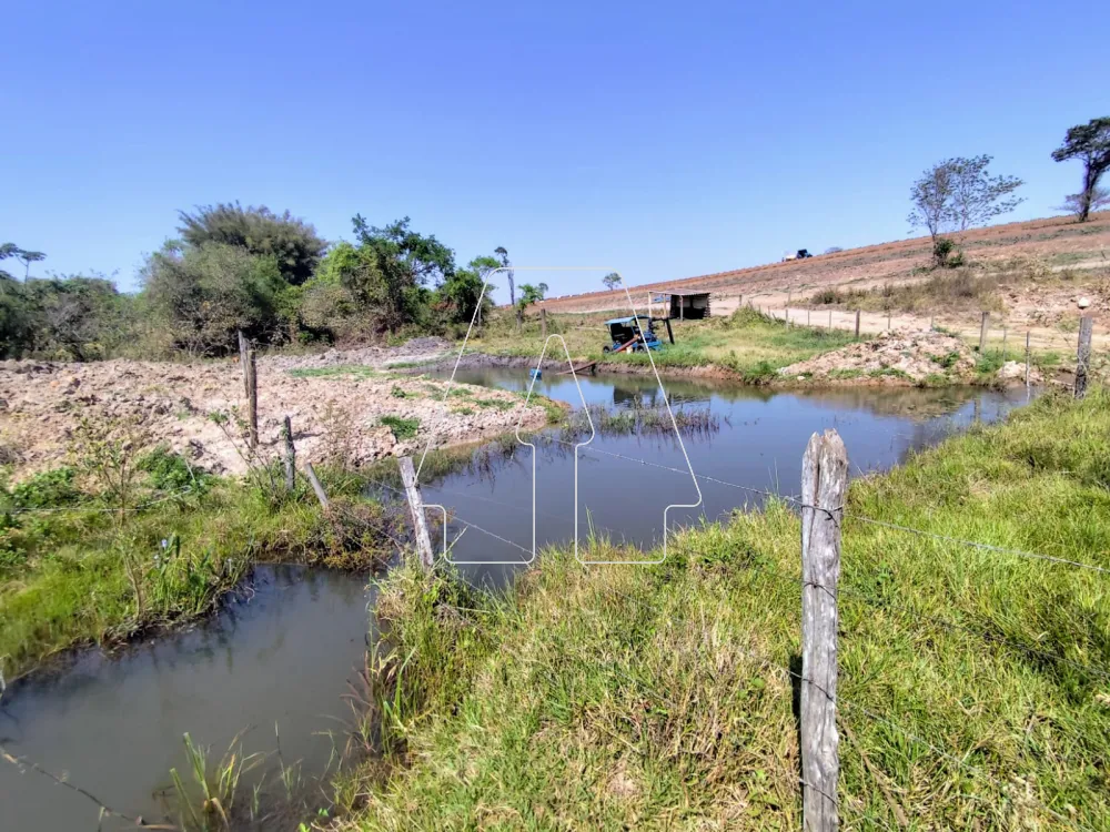 Comprar Rural / S&iacute;tio em Guararapes R$ 1.850.000,00 - Foto 30