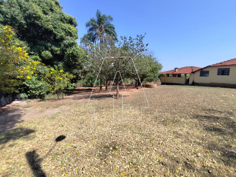 Comprar Rural / S&iacute;tio em Guararapes R$ 1.850.000,00 - Foto 31