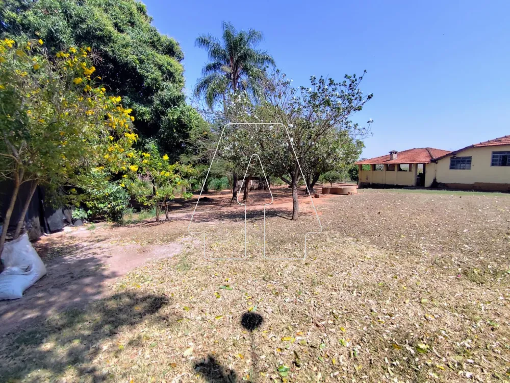 Comprar Rural / S&iacute;tio em Guararapes R$ 1.850.000,00 - Foto 32