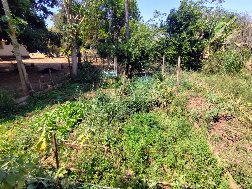 Comprar Rural / S&iacute;tio em Guararapes R$ 1.850.000,00 - Foto 33