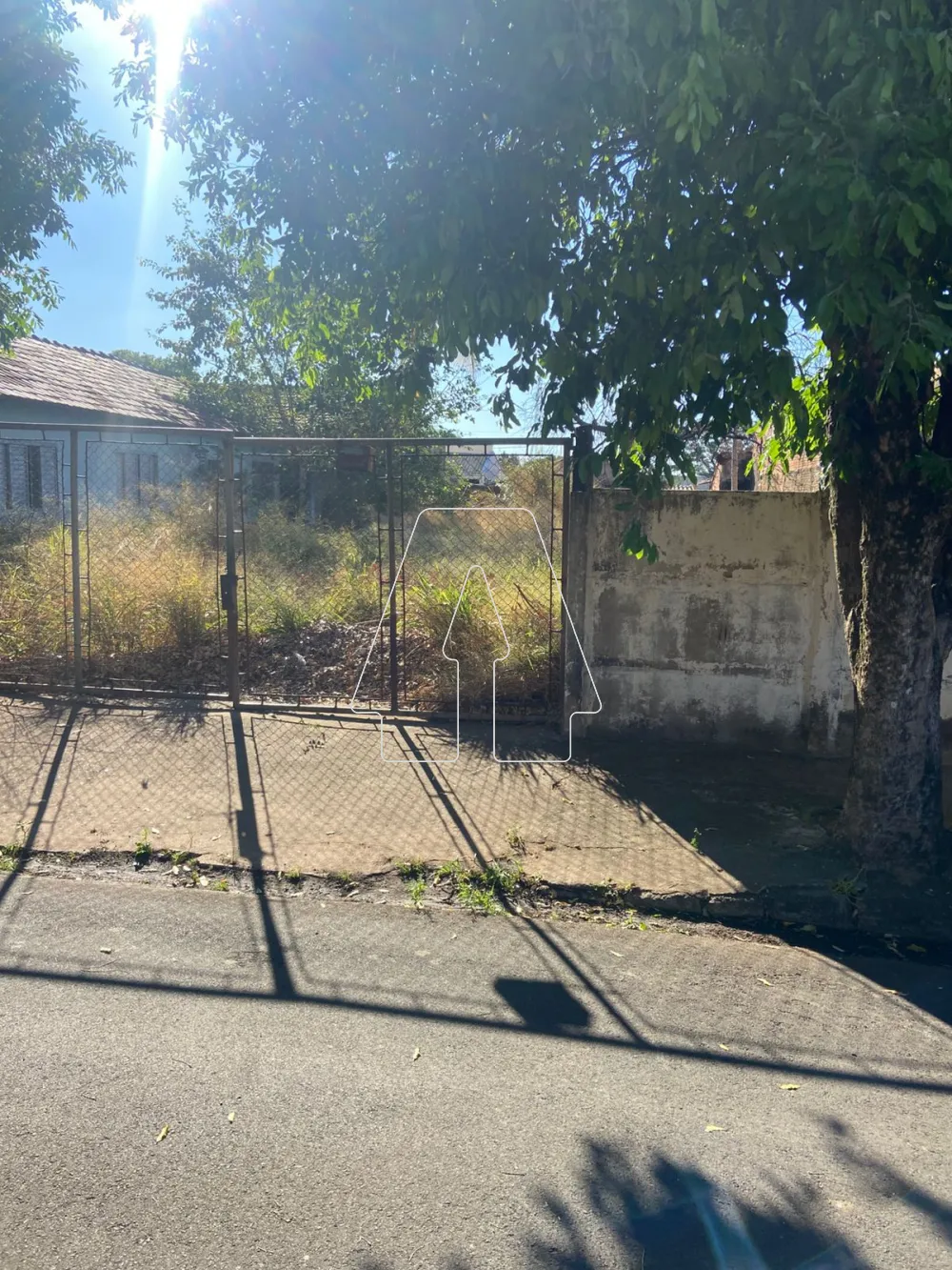 Comprar Terreno / Padr&atilde;o em Ara&ccedil;atuba R$ 110.000,00 - Foto 1