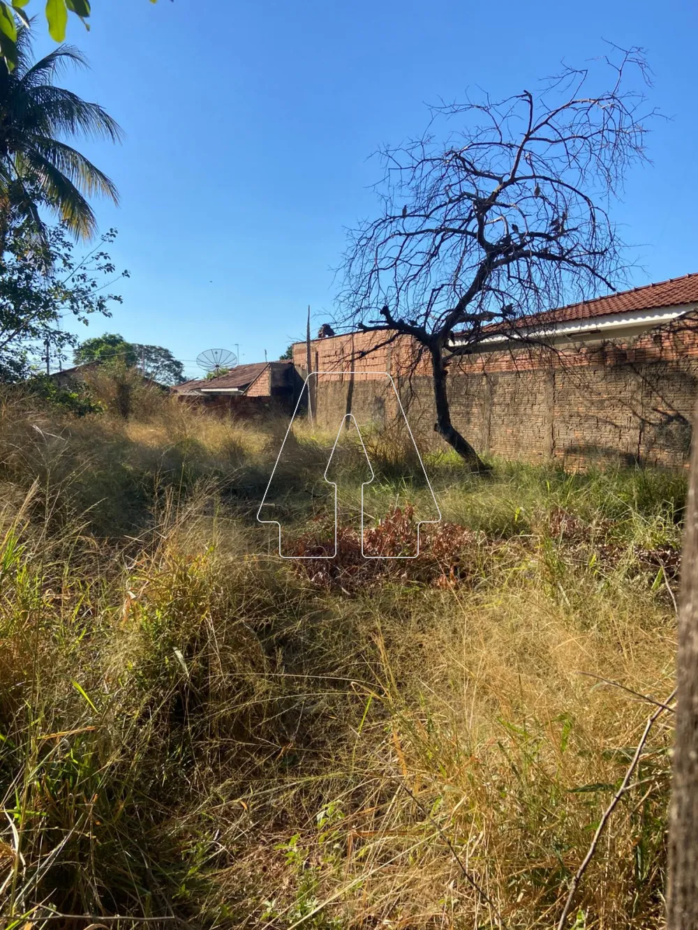 Comprar Terreno / Padr&atilde;o em Ara&ccedil;atuba R$ 110.000,00 - Foto 3