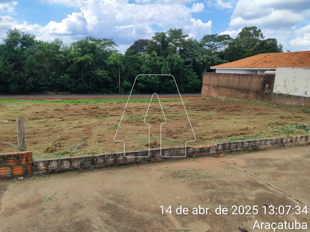 Comprar Terreno / Padr&atilde;o em Ara&ccedil;atuba R$ 285.000,00 - Foto 1
