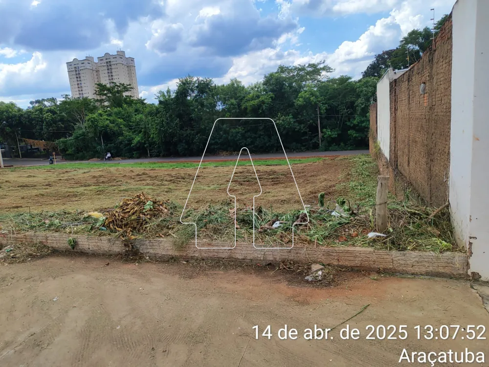 Comprar Terreno / Padr&atilde;o em Ara&ccedil;atuba R$ 285.000,00 - Foto 3
