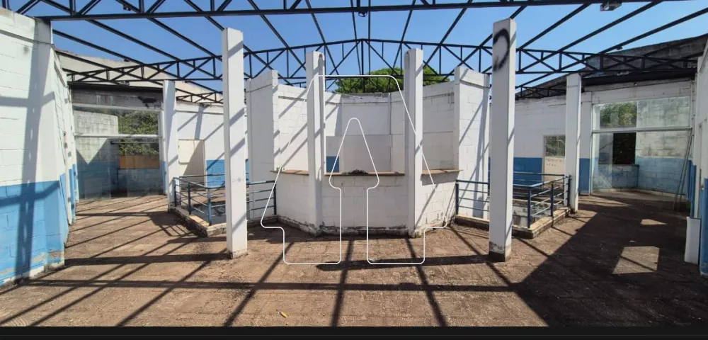 Alugar Terreno / Padr&atilde;o em Ara&ccedil;atuba R$ 8.000,00 - Foto 1