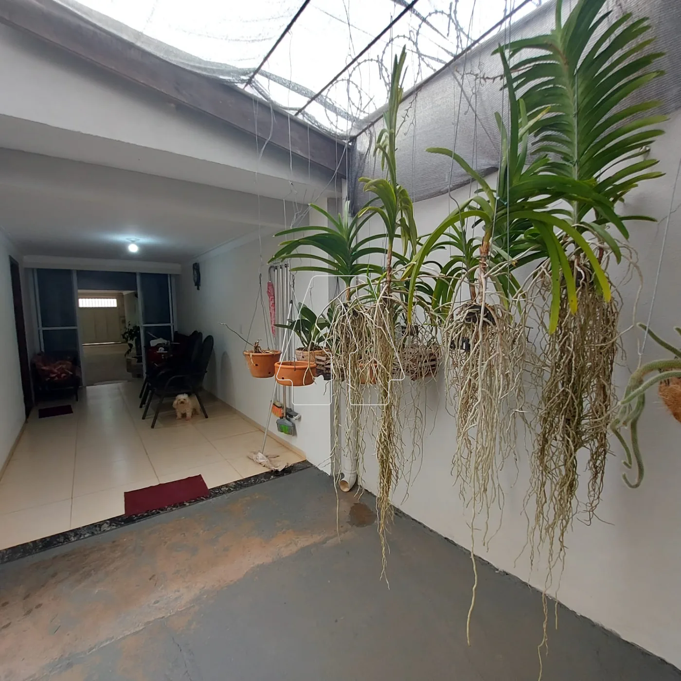 Comprar Casa / Residencial em Ara&ccedil;atuba R$ 520.000,00 - Foto 20
