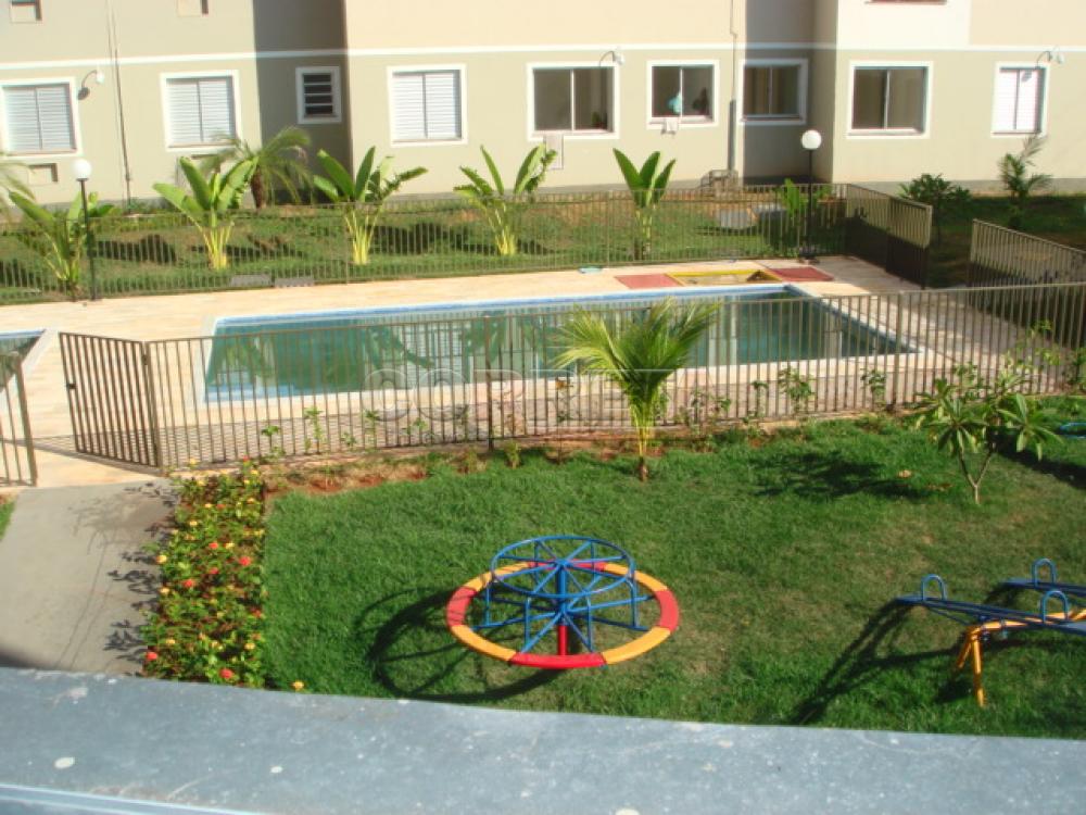 Alugar Apartamento / Padr&atilde;o em Ara&ccedil;atuba R$ 950,00 - Foto 21