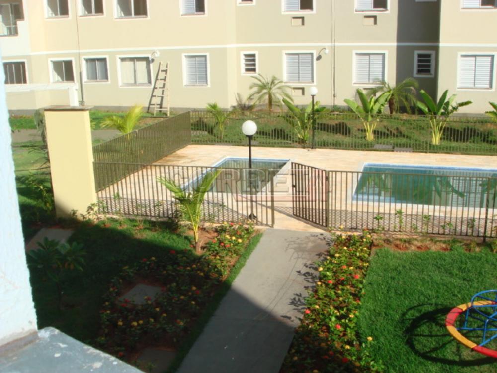 Alugar Apartamento / Padr&atilde;o em Ara&ccedil;atuba R$ 950,00 - Foto 18