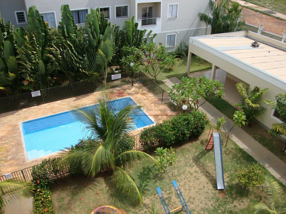 Alugar Apartamento / Padr&atilde;o em Ara&ccedil;atuba R$ 950,00 - Foto 20
