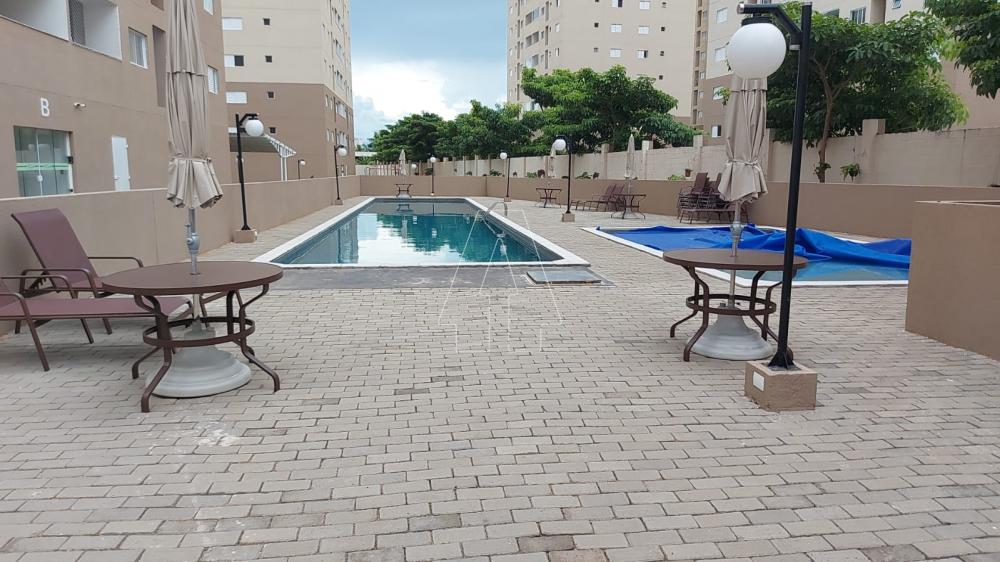Comprar Apartamento / Padr&atilde;o em Ara&ccedil;atuba R$ 450.000,00 - Foto 13