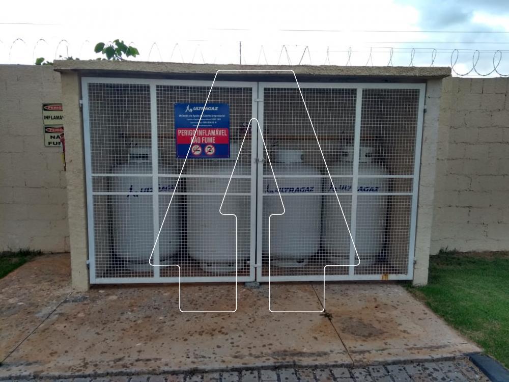 Alugar Apartamento / Padr&atilde;o em Ara&ccedil;atuba R$ 3.800,00 - Foto 43