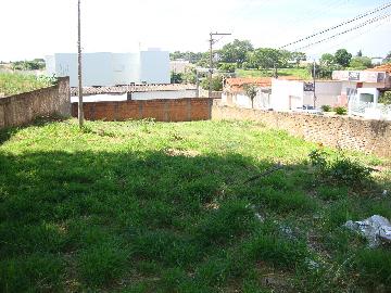 Aracatuba Jardim Brasilia Terreno Locacao R$ 400,00  Area do terreno 360.00m2 
