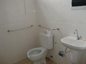 Aracatuba Sao Joaquim Comercial Locacao R$ 1.300,00 Area construida 32.00m2