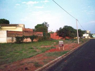 Aracatuba Morumbi Area Venda R$1.500.000,00  Area do terreno 993.85m2 