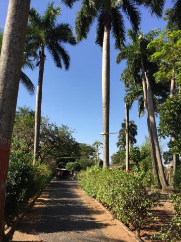 Aracatuba Chacaras TV Area Venda R$1.100.000,00  Area do terreno 7000.00m2 