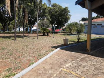 Aracatuba Boa Vista Estabelecimento Venda R$1.200.000,00 5 Dormitorios 5 Vagas Area construida 278.54m2