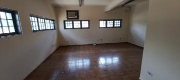 Aracatuba Jussara Comercial Locacao R$ 4.000,00  Area do terreno 250.00m2 Area construida 250.00m2