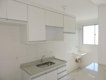 Aracatuba Umuarama Apartamento Locacao R$ 1.500,00 2 Dormitorios 1 Vaga 