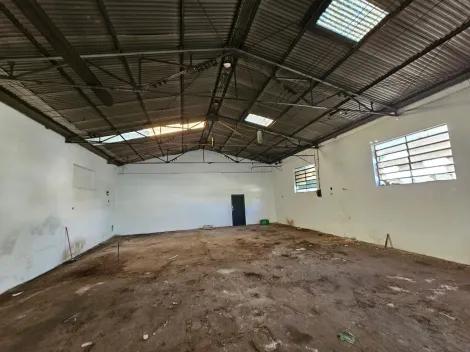 Aracatuba Sao Joao Comercial Locacao R$ 15.900,00 
