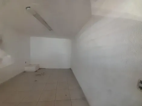 Aracatuba Jardim Sumare Imovel Locacao R$ 3.400,00  1 Vaga 