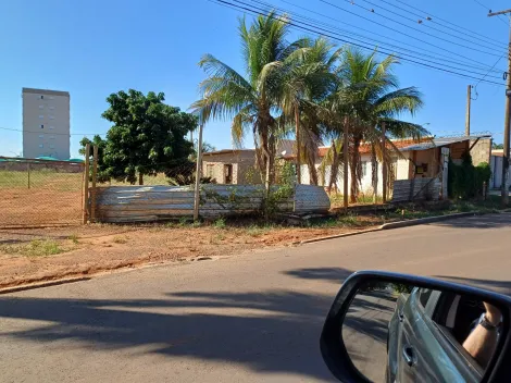 Aracatuba Petit Trianon Rural Locacao R$ 3.000,00 1 Dormitorio 90 Vagas 