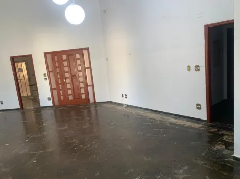 Aracatuba Jardim Paulista Imovel Locacao R$ 12.000,00  6 Vagas 