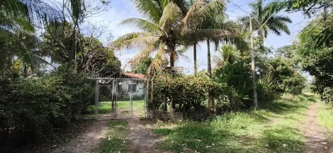 Aracatuba Chacaras de Recreio Monteiro Rural Locacao R$ 4.000,00 3 Dormitorios 1 Vaga 