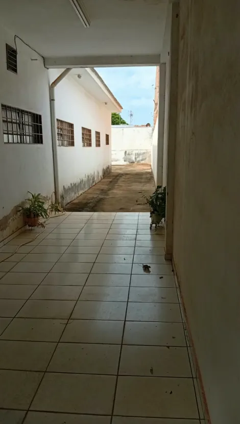 Aracatuba Ipanema Salao Locacao R$ 4.000,00 Area construida 200.00m2