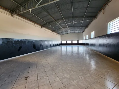 Aracatuba Boa Vista Comercial Locacao R$ 2.000,00 Area construida 300.00m2