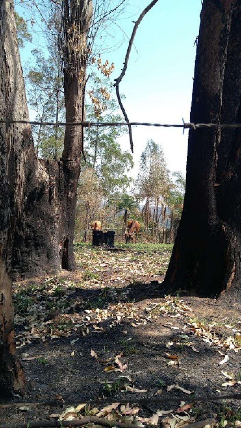 Comprar Terreno / Padr&atilde;o em Campo Limpo Paulista R$ 250.000,00 - Foto 3